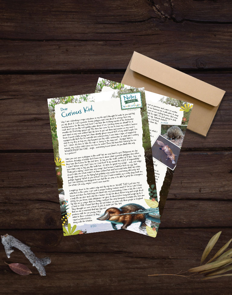 Australian Platypus Notes from Nature Letter