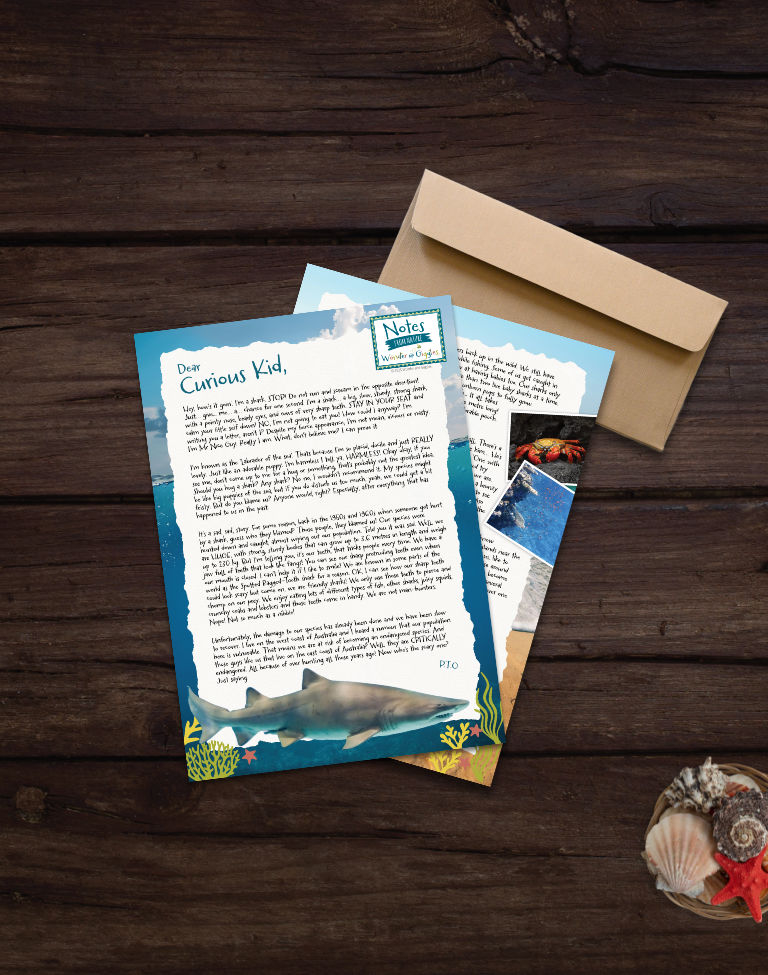 Australian Sharks Notes from Nature Letter