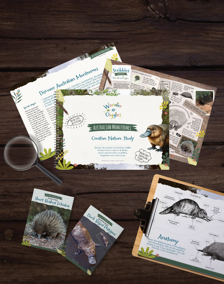 Australian Monotremes Creative Nature Study