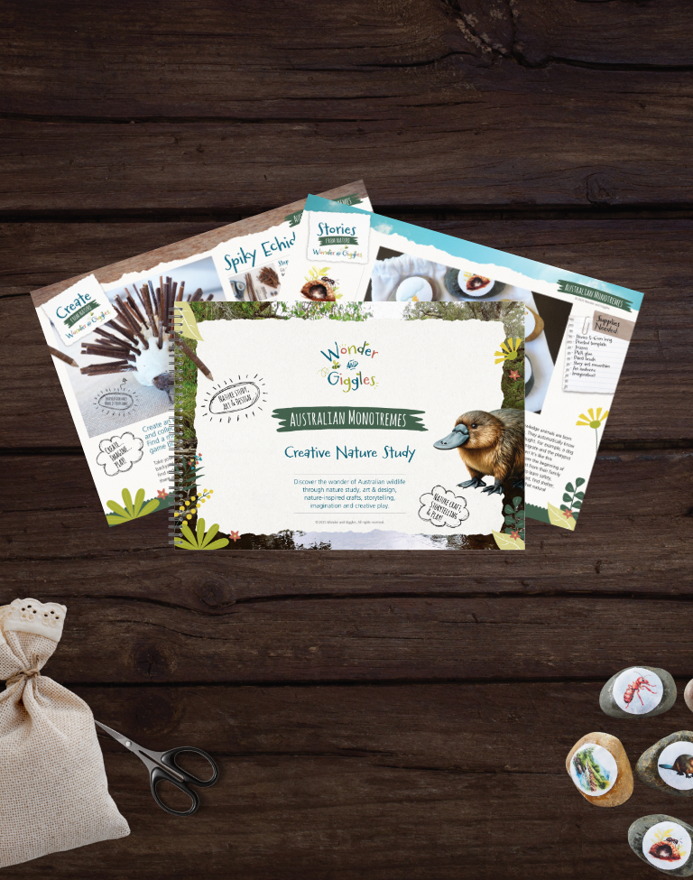 Australian Monotremes Creative Nature Study