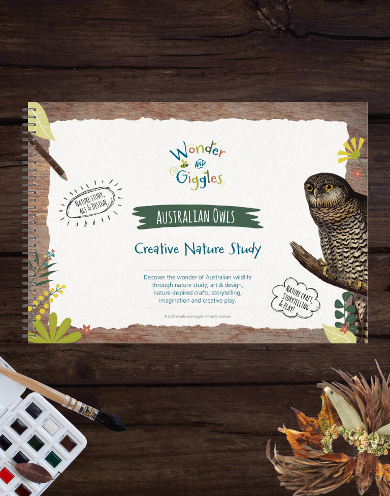 Australian Owl Creative Nature Study