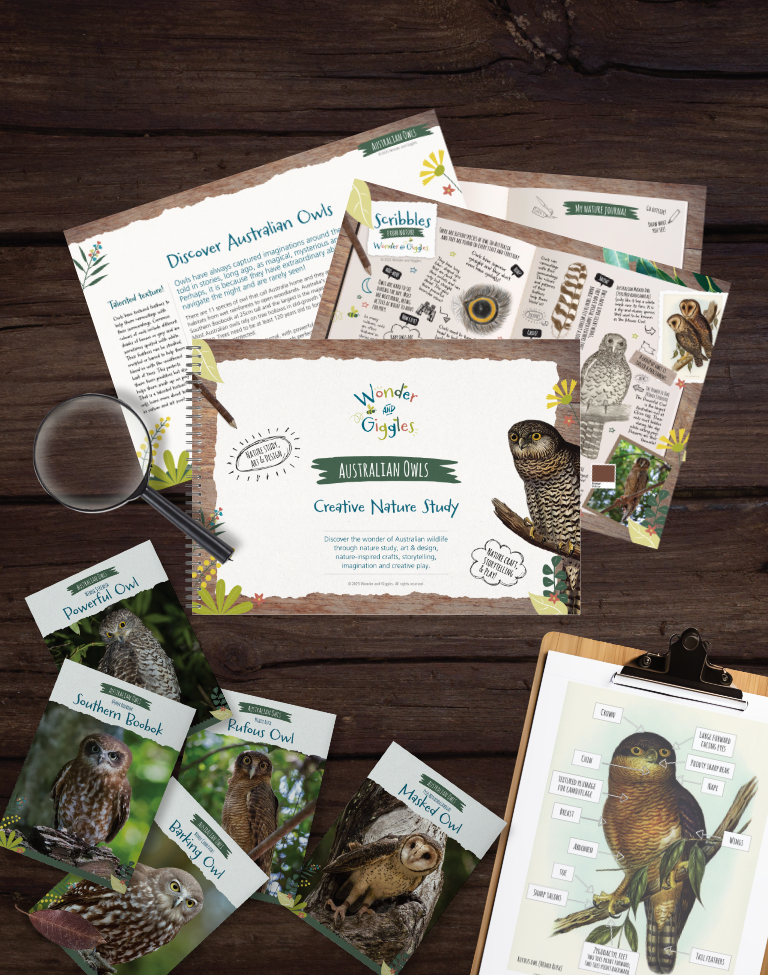 Australian Owl Creative Nature Study