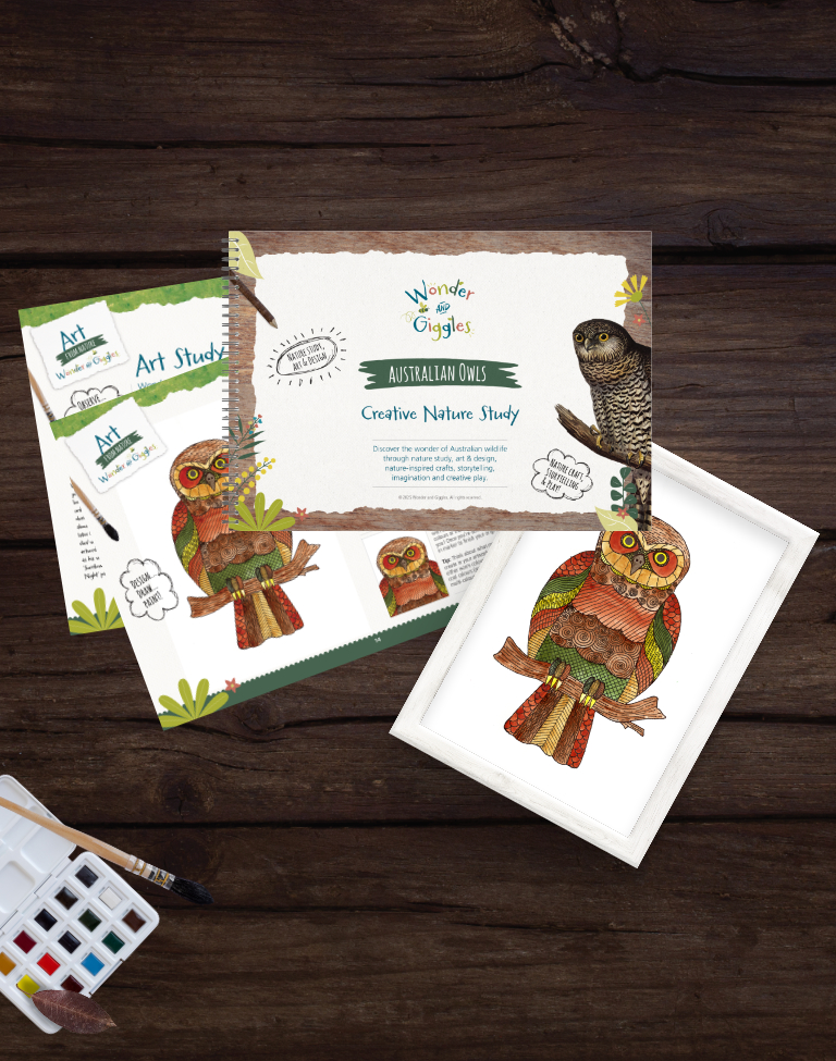 Australian Owl Creative Nature Study