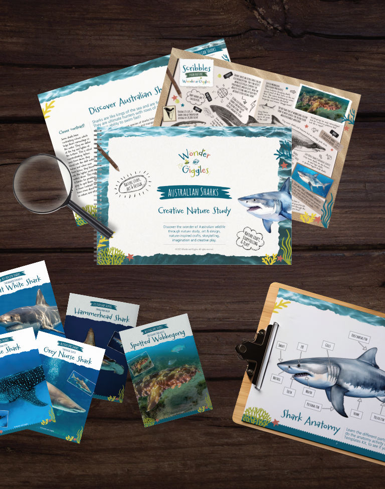 Australian Sharks Creative Nature Study