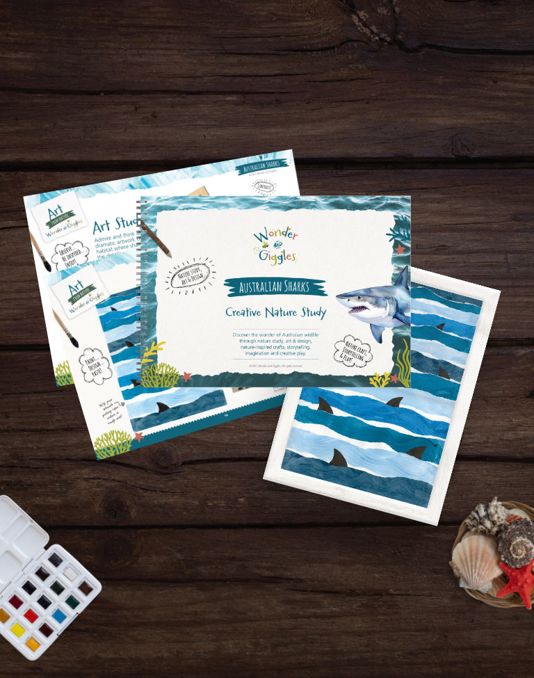 Australian Sharks Creative Nature Study