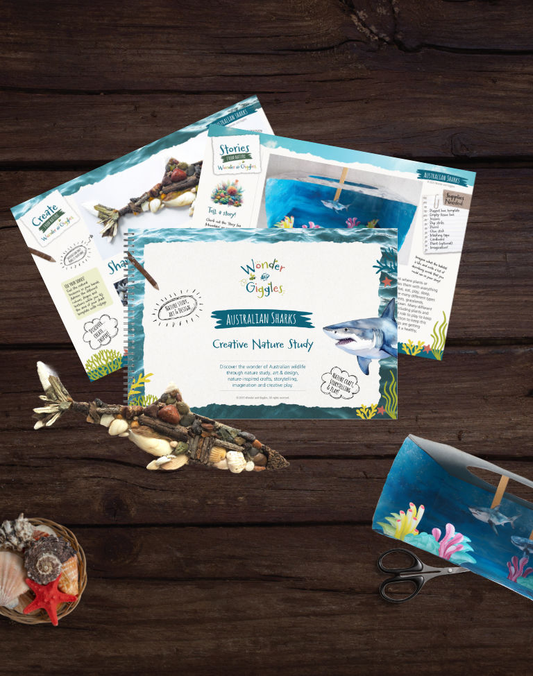 Australian Sharks Creative Nature Study